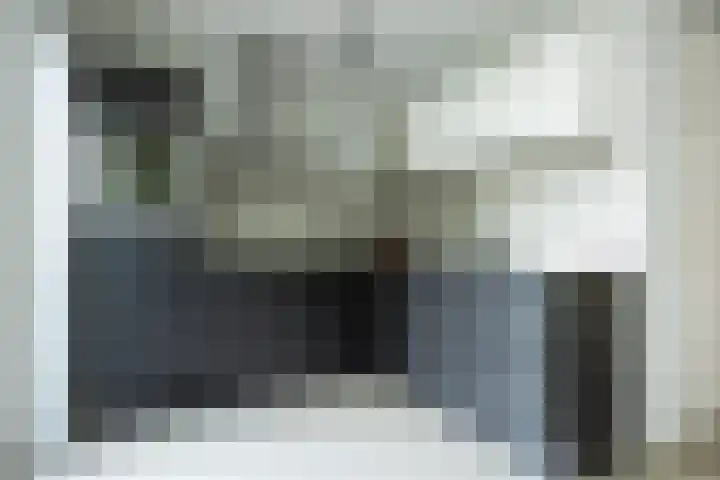 Lisdodde 1 Boxtel thumbnail 26