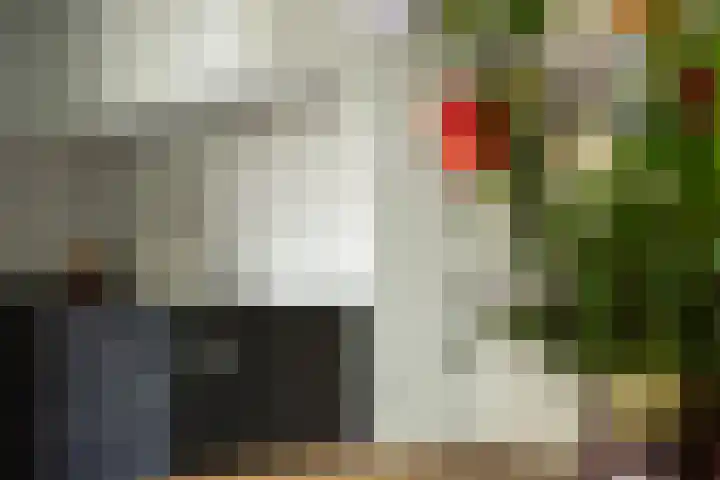 Lisdodde 1 Boxtel thumbnail 27