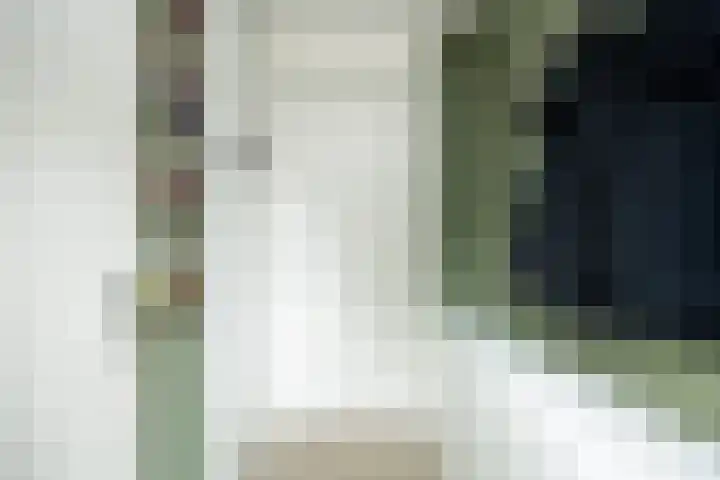 Lisdodde 1 Boxtel thumbnail 4