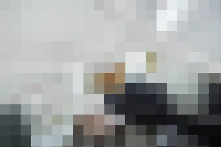 Lisdodde 1 Boxtel thumbnail 44