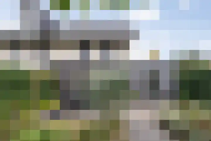 Lisdodde 1 Boxtel thumbnail 47