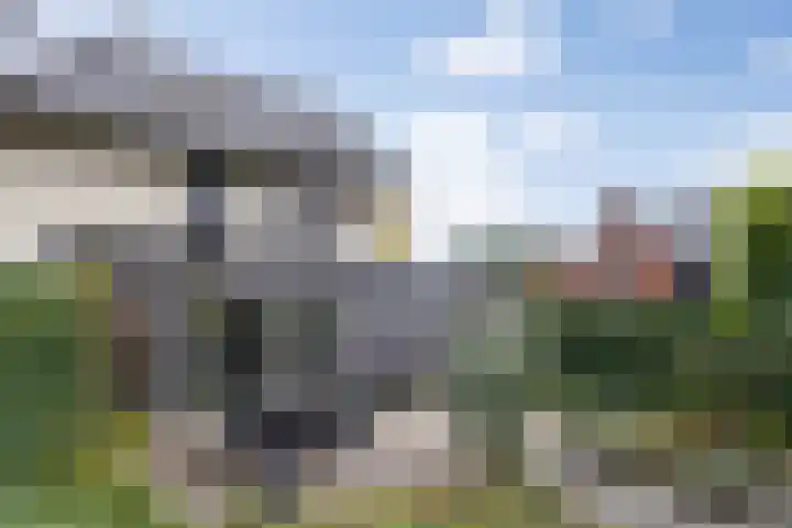 Lisdodde 1 Boxtel thumbnail 49