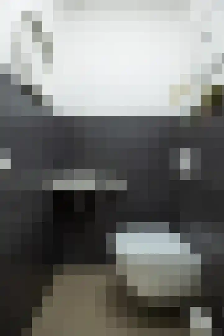 Lisdodde 1 Boxtel thumbnail 5