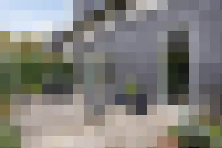 Lisdodde 1 Boxtel thumbnail 51