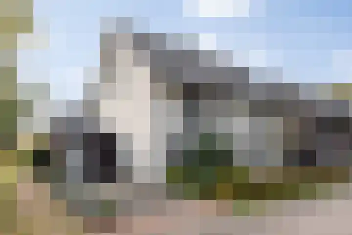 Lisdodde 1 Boxtel thumbnail 63