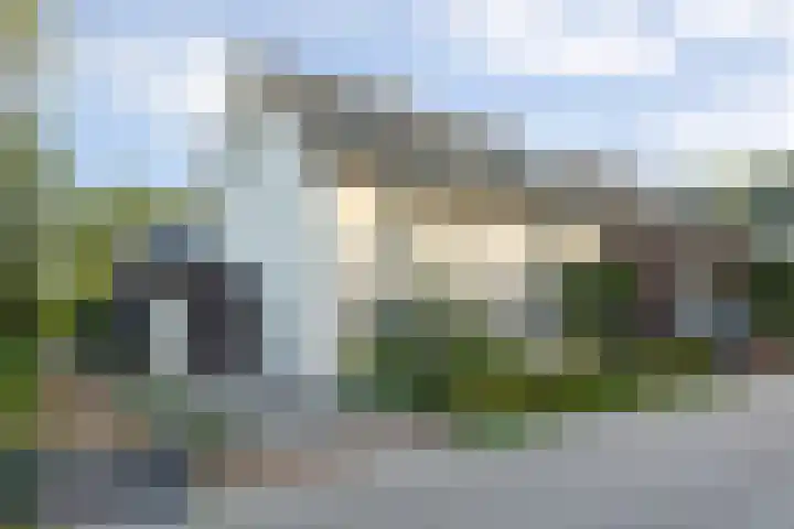 Lisdodde 1 Boxtel thumbnail 65