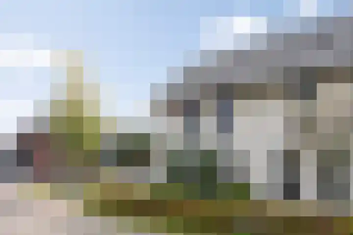 Lisdodde 1 Boxtel thumbnail 67