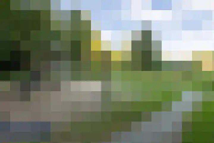 Lisdodde 1 Boxtel thumbnail 71