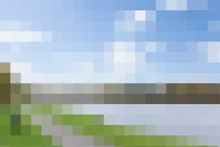 Lisdodde 1 Boxtel thumbnail 75