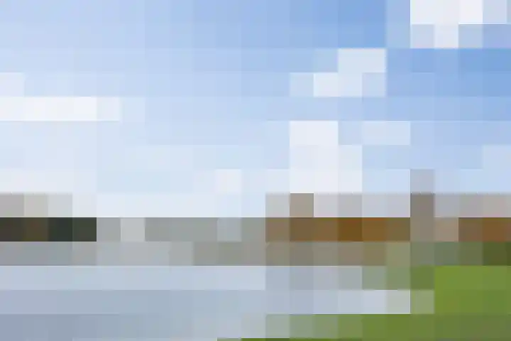 Lisdodde 1 Boxtel thumbnail 77