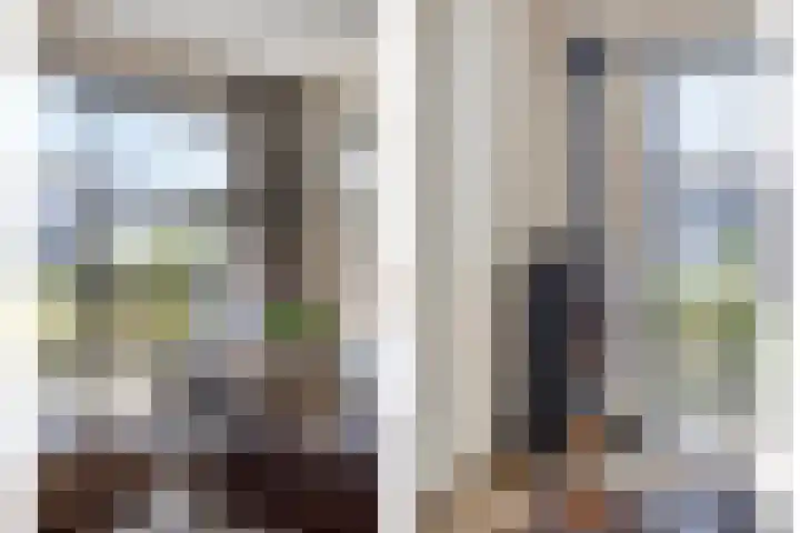 Lisdodde 1 Meppel thumbnail 10