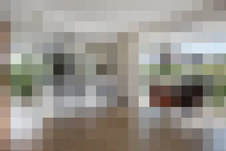 Lisdodde 1 Meppel thumbnail 11