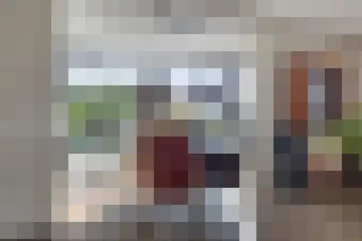 Lisdodde 1 Meppel thumbnail 12