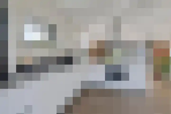 Lisdodde 1 Meppel thumbnail 16