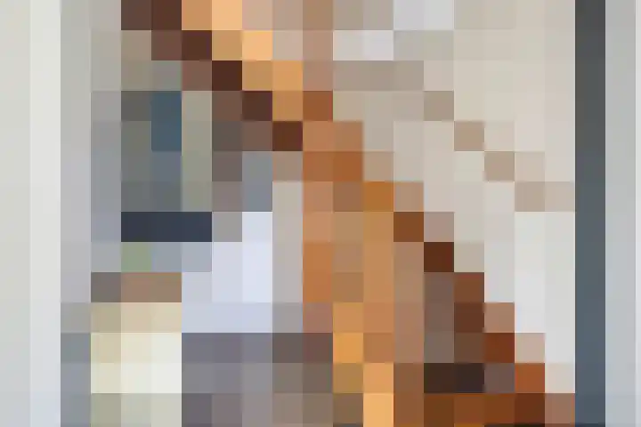 Lisdodde 1 Meppel thumbnail 20