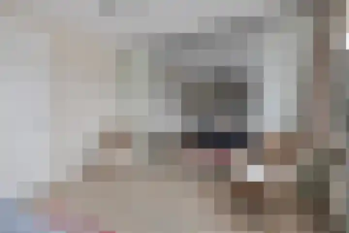 Lisdodde 1 Meppel thumbnail 22