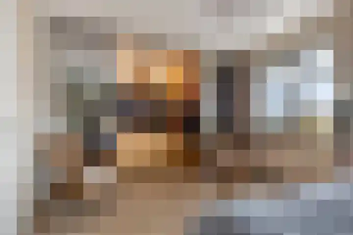 Lisdodde 1 Meppel thumbnail 23