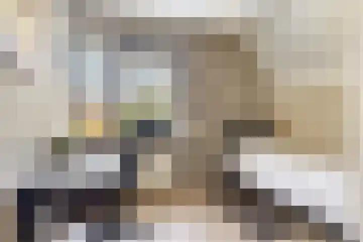 Lisdodde 1 Meppel thumbnail 26