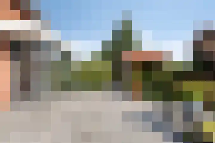 Lisdodde 1 Meppel thumbnail 36