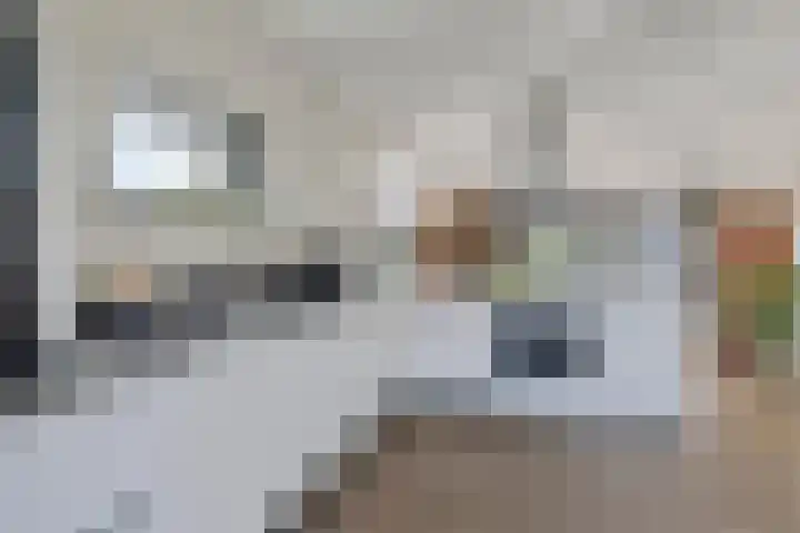 Lisdodde 1 Meppel thumbnail 4