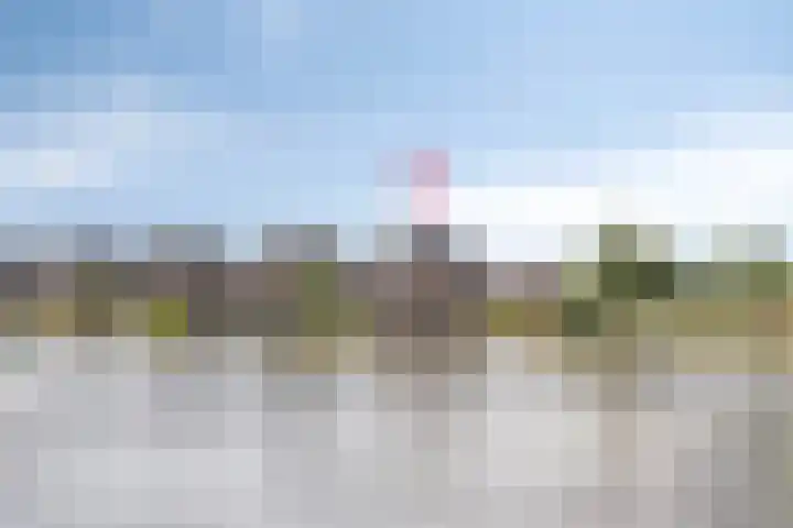 Lisdodde 1 Meppel thumbnail 43