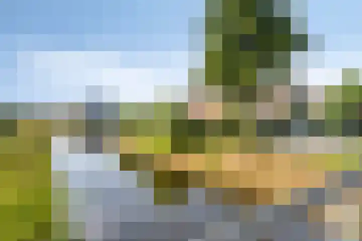 Lisdodde 1 Meppel thumbnail 44