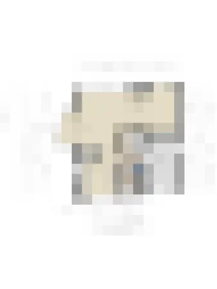 Lisdodde 1 Meppel thumbnail 47