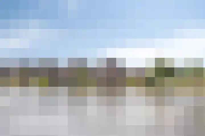 Lisdodde 1 Meppel thumbnail 51