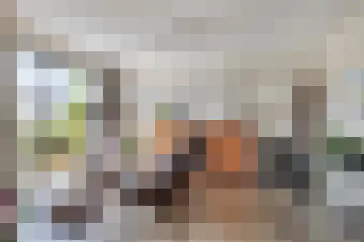 Lisdodde 1 Meppel thumbnail 9