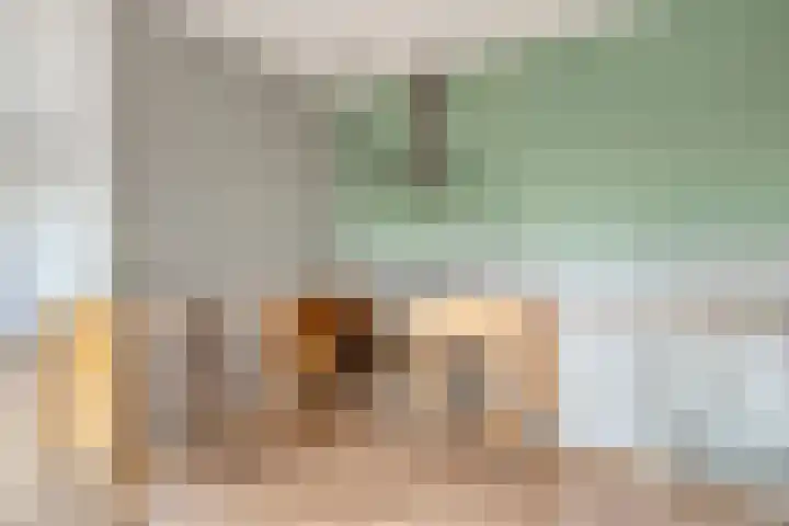 Lisdodde 1 Zwolle thumbnail 11