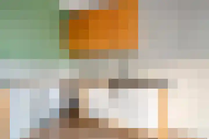Lisdodde 1 Zwolle thumbnail 12