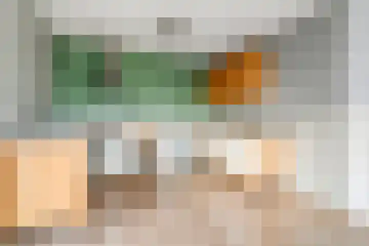 Lisdodde 1 Zwolle thumbnail 13