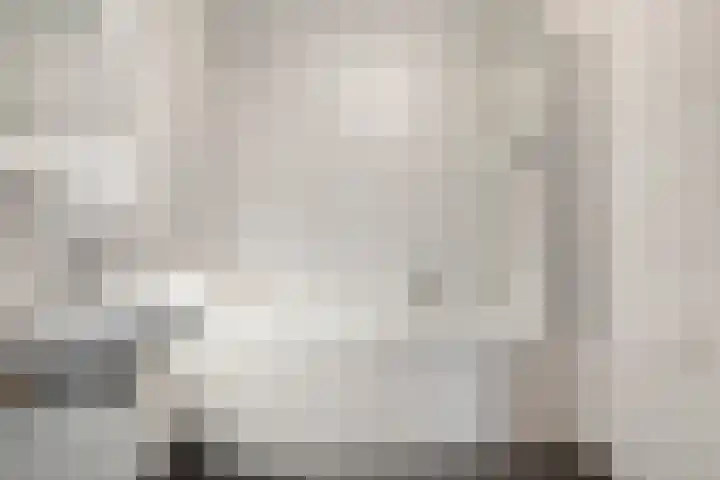 Lisdodde 1 Zwolle thumbnail 17
