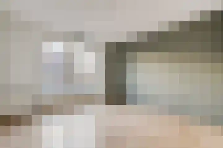 Lisdodde 1 Zwolle thumbnail 20