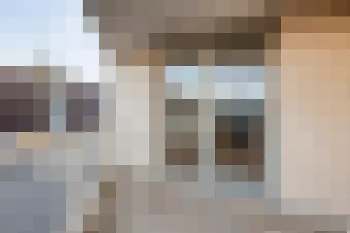 Lisdodde 1 Zwolle thumbnail 22