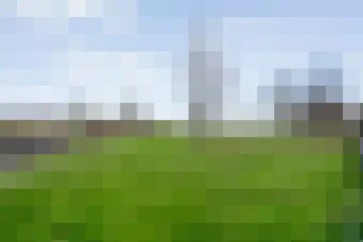 Lisdodde 1 Zwolle thumbnail 25