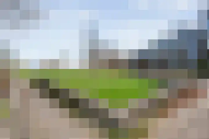 Lisdodde 1 Zwolle thumbnail 26