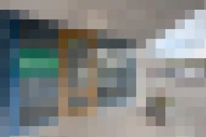 Lisdodde 1 Zwolle thumbnail 27