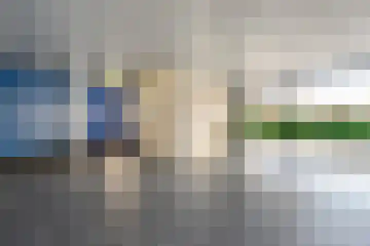 Lisdodde 1 Zwolle thumbnail 28