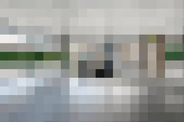 Lisdodde 1 Zwolle thumbnail 29