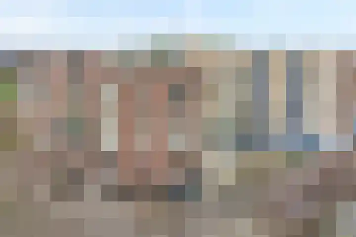 Lisdodde 1 Zwolle thumbnail 30