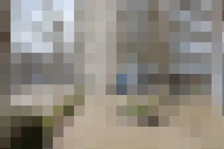 Lisdodde 1 Zwolle thumbnail 31
