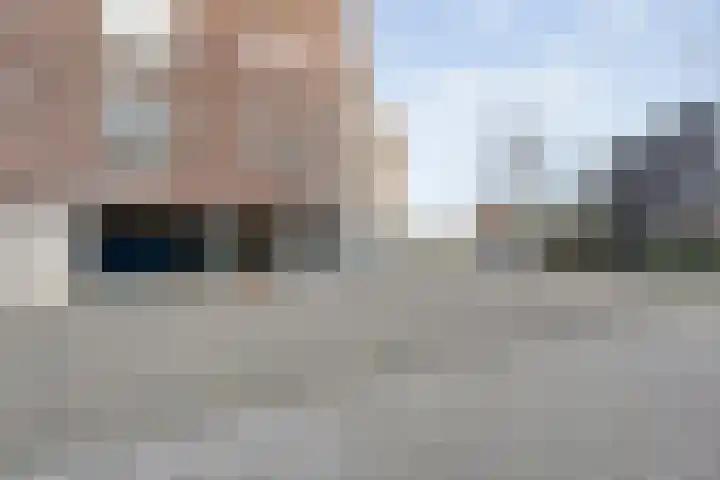 Lisdodde 1 Zwolle thumbnail 32