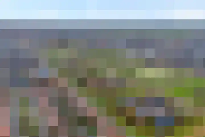 Lisdodde 1 Zwolle thumbnail 35
