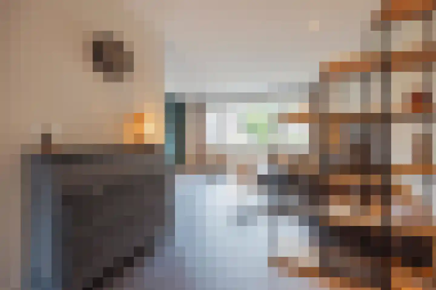 Lisdodde 10 America thumbnail 10