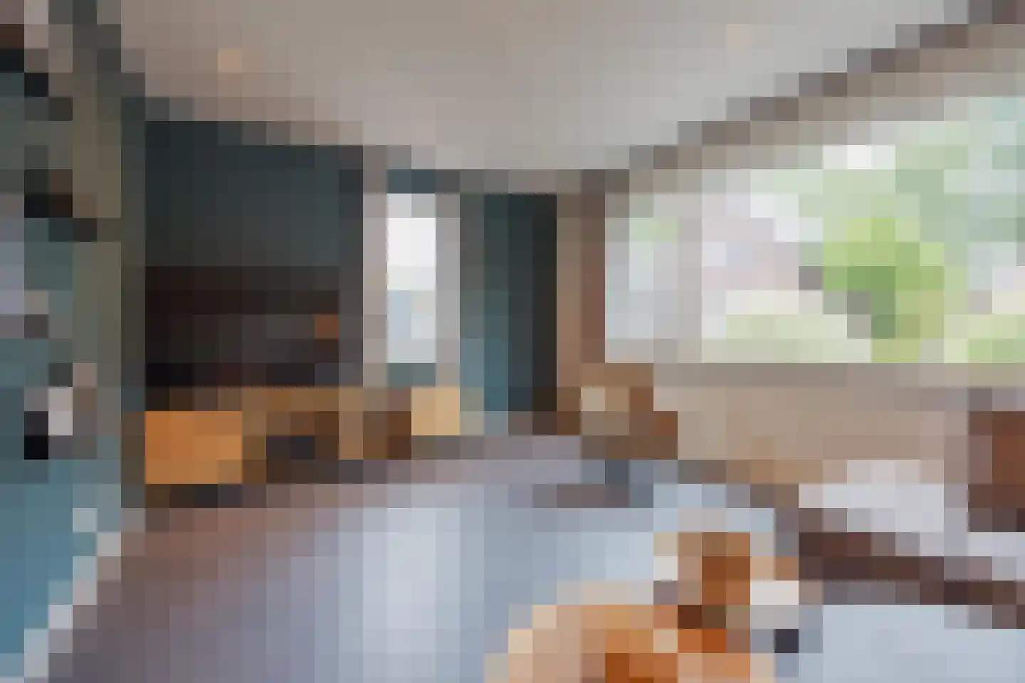 Lisdodde 10 America thumbnail 12
