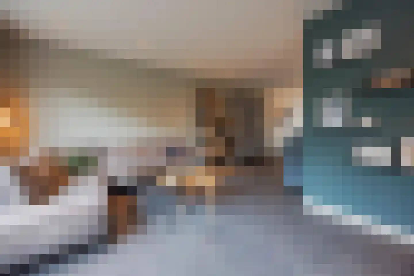 Lisdodde 10 America thumbnail 13