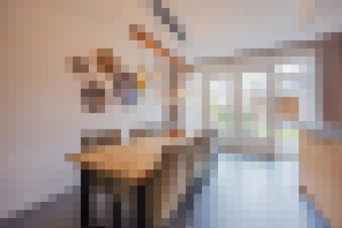 Lisdodde 10 America thumbnail 15