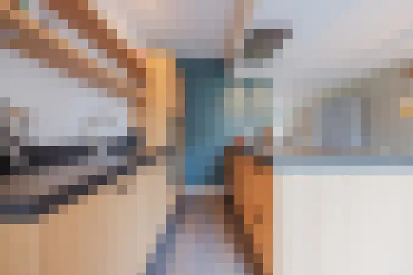 Lisdodde 10 America thumbnail 17