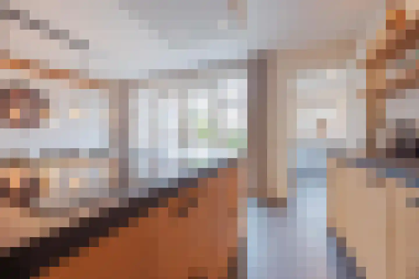 Lisdodde 10 America thumbnail 18
